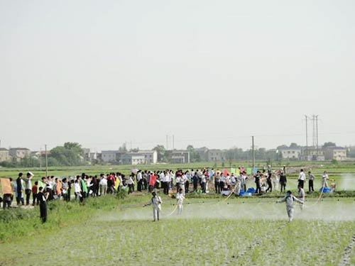 2012農(nóng)作物病蟲害專業(yè)化統(tǒng)防統(tǒng)治服務組織參觀我公司望城現(xiàn)場演示會