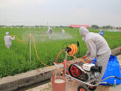 湖南豐茂受邀參加全國小麥條銹病春季防控機(jī)械演示會(huì)